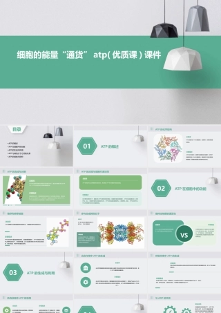 细胞的能量“通货”ATP(优质课)课件