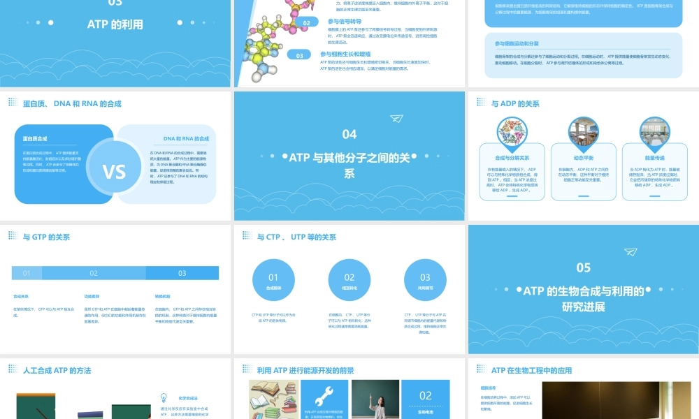 细胞的能量通货—ATP课件