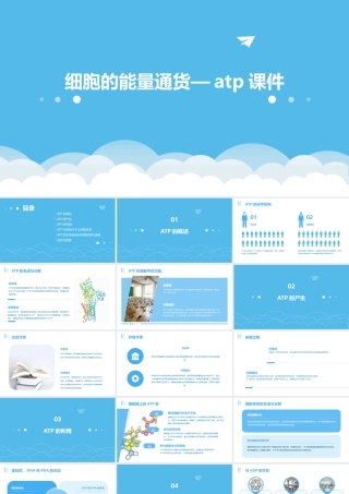 细胞的能量通货—ATP课件