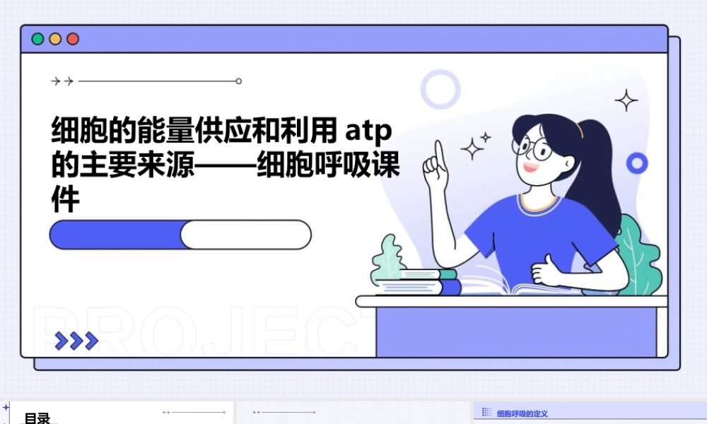 细胞的能量供应和利用ATP的主要来源——细胞呼吸课件