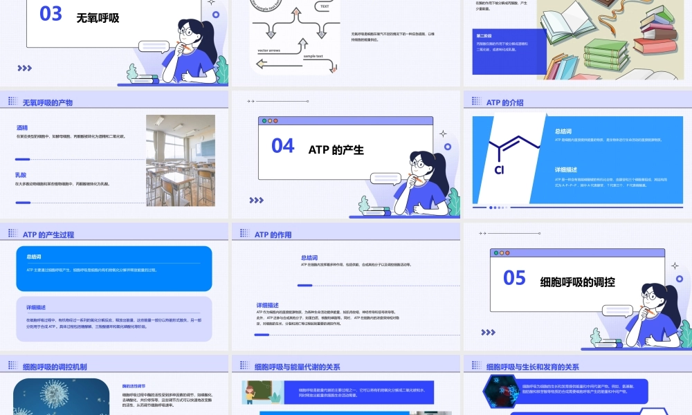 细胞的能量供应和利用ATP的主要来源——细胞呼吸课件