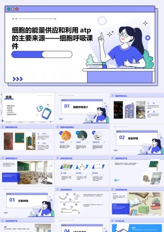 细胞的能量供应和利用ATP的主要来源——细胞呼吸课件