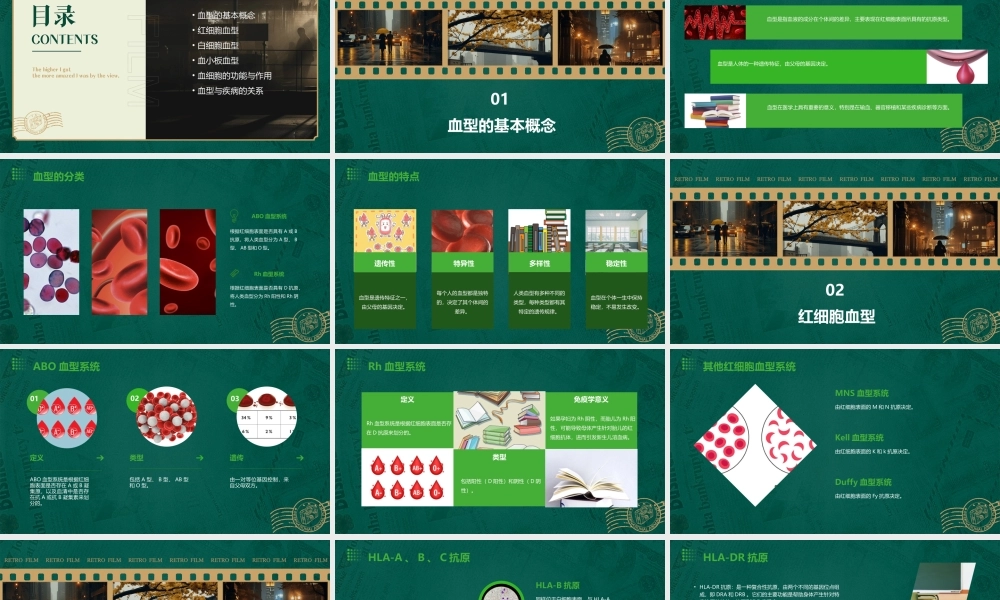细胞的血型和血细胞课件