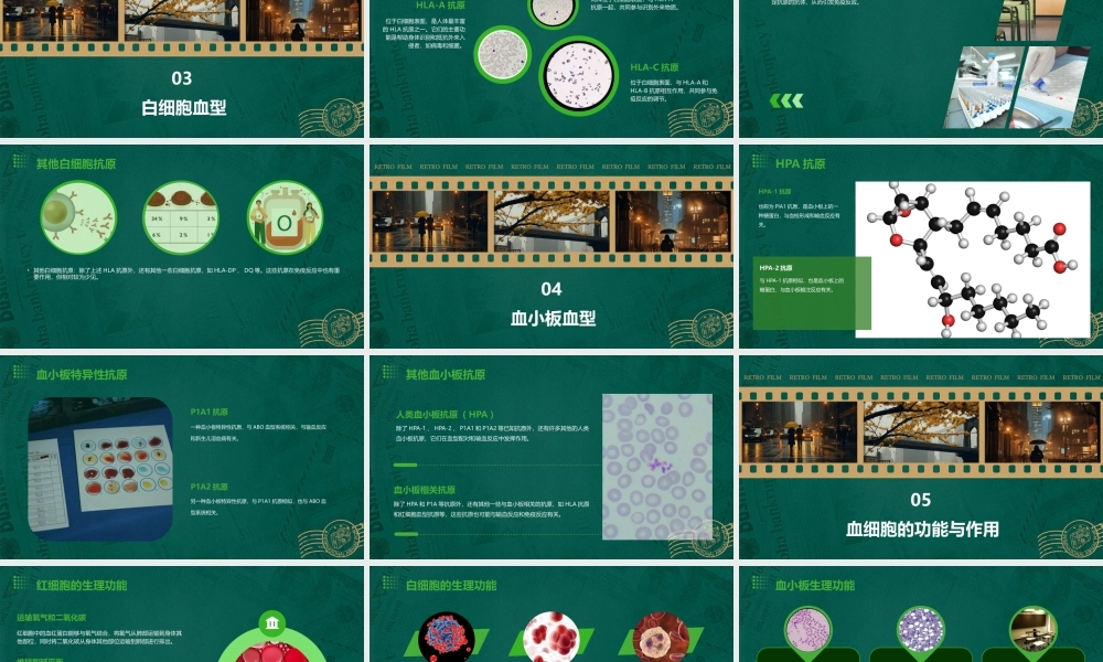 细胞的血型和血细胞课件