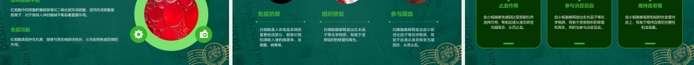细胞的血型和血细胞课件
