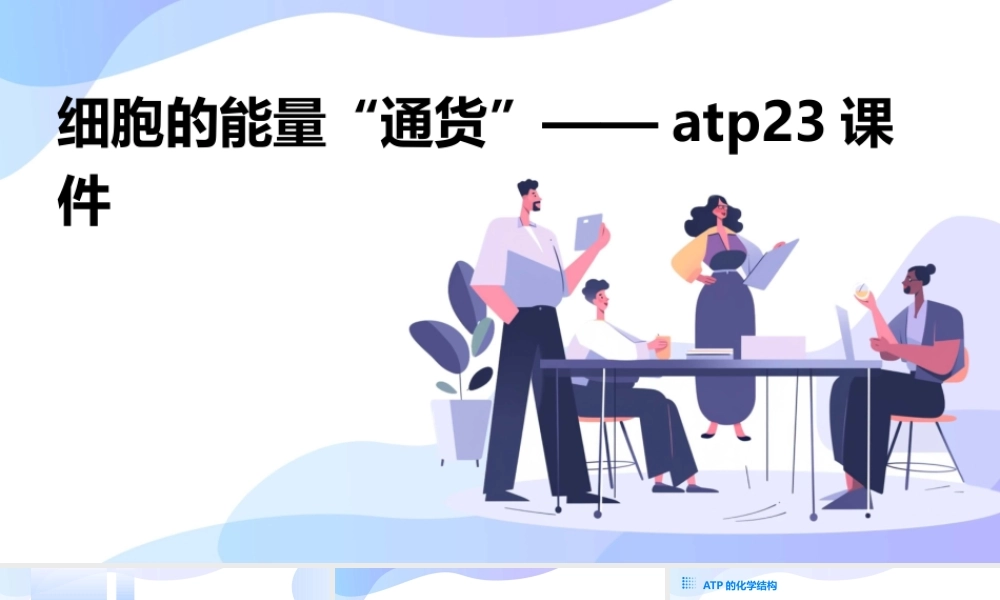 细胞的能量“通货”——ATP23课件