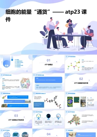 细胞的能量“通货”——ATP23课件