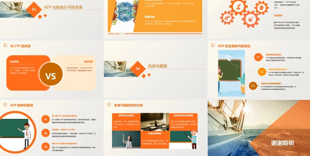 细胞的能量“通货”——ATP课件