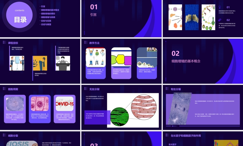 细胞的增殖——说课演讲稿课件