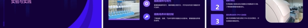 细胞的增殖——说课演讲稿课件
