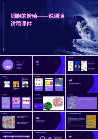 细胞的增殖——说课演讲稿课件