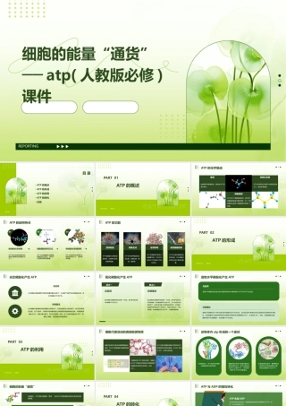 细胞的能量“通货”──ATP(人教版必修)课件