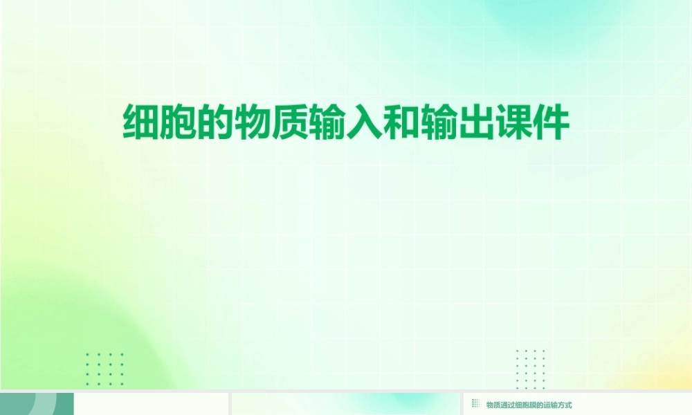 细胞的物质输入和输出课件