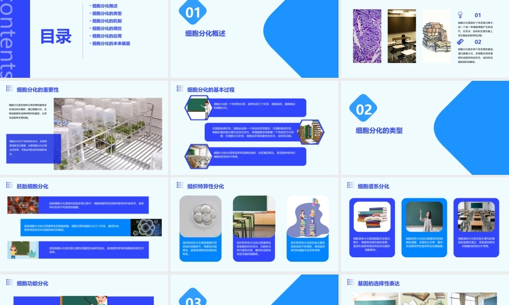 细胞的生命历程——细胞分化课件