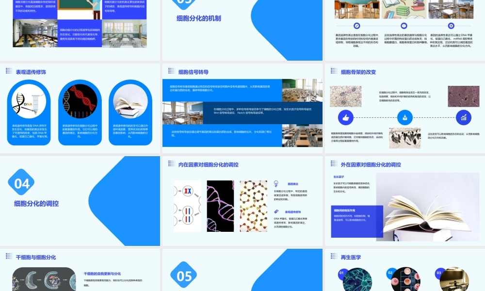 细胞的生命历程——细胞分化课件