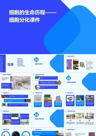 细胞的生命历程——细胞分化课件