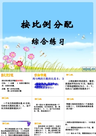 按比例分配练习