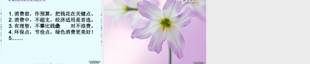 九年级政治学会合理消费课件示例一 新课标 人教版 课件