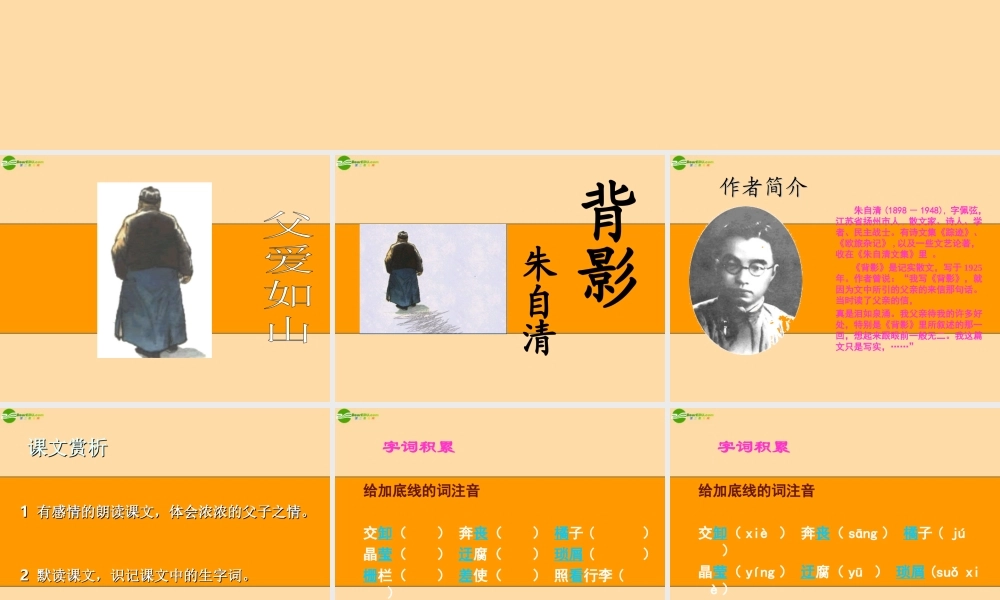 九年级语文下册 第6课(背影)课件 长春版 课件