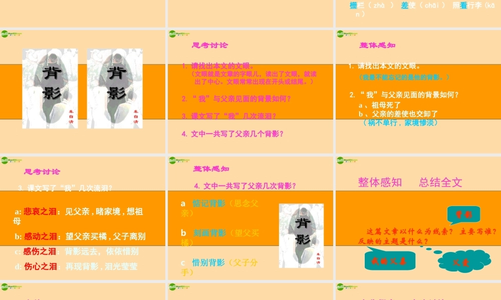 九年级语文下册 第6课(背影)课件 长春版 课件