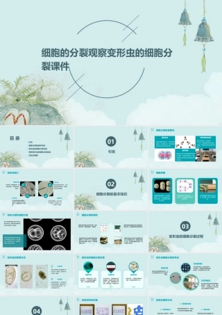 细胞的分裂观察变形虫的细胞分裂课件
