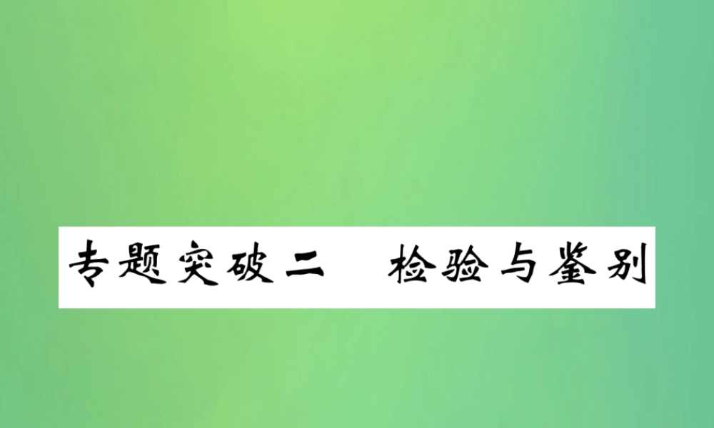 中考化学毕业总复习 第2编 重点专题突破篇 专题突破2 检验与鉴别课件