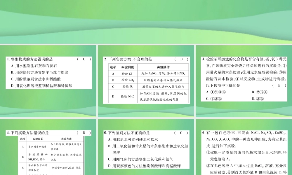 中考化学毕业总复习 第2编 重点专题突破篇 专题突破2 检验与鉴别课件