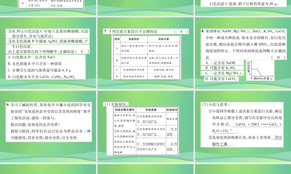 中考化学毕业总复习 第2编 重点专题突破篇 专题突破2 检验与鉴别课件