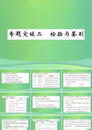 中考化学毕业总复习 第2编 重点专题突破篇 专题突破2 检验与鉴别课件