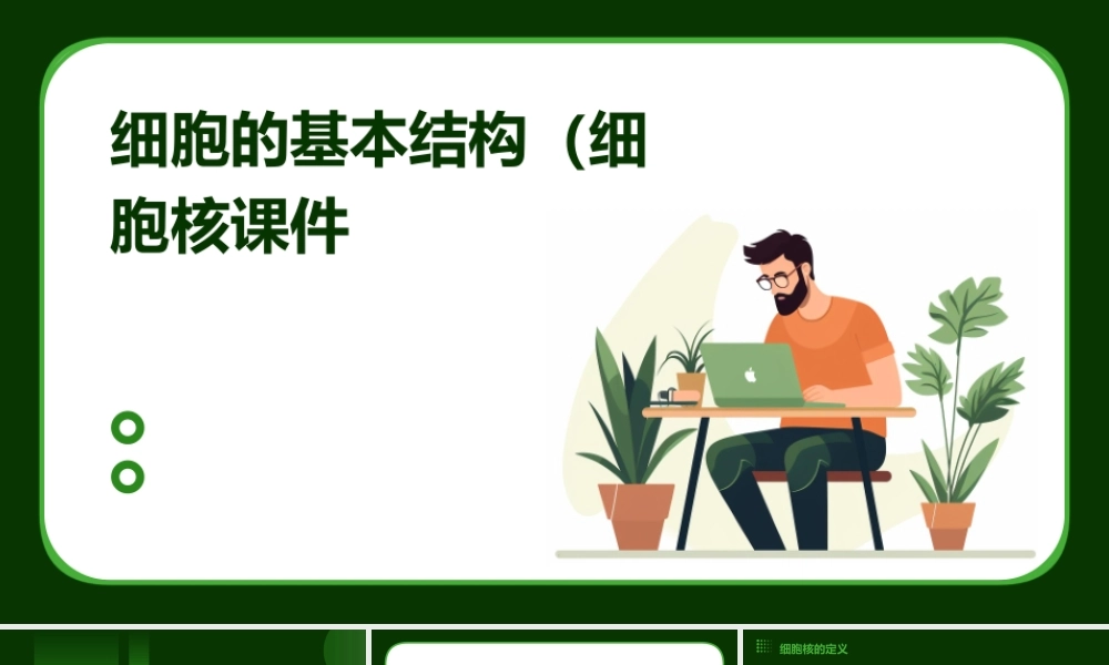 细胞的基本结构(细胞核)课件