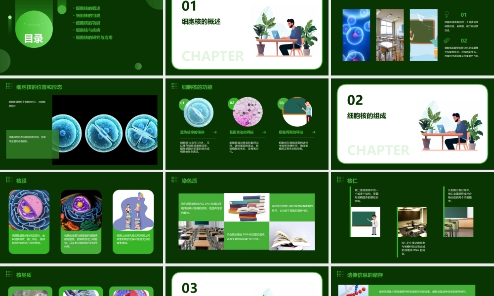 细胞的基本结构(细胞核)课件