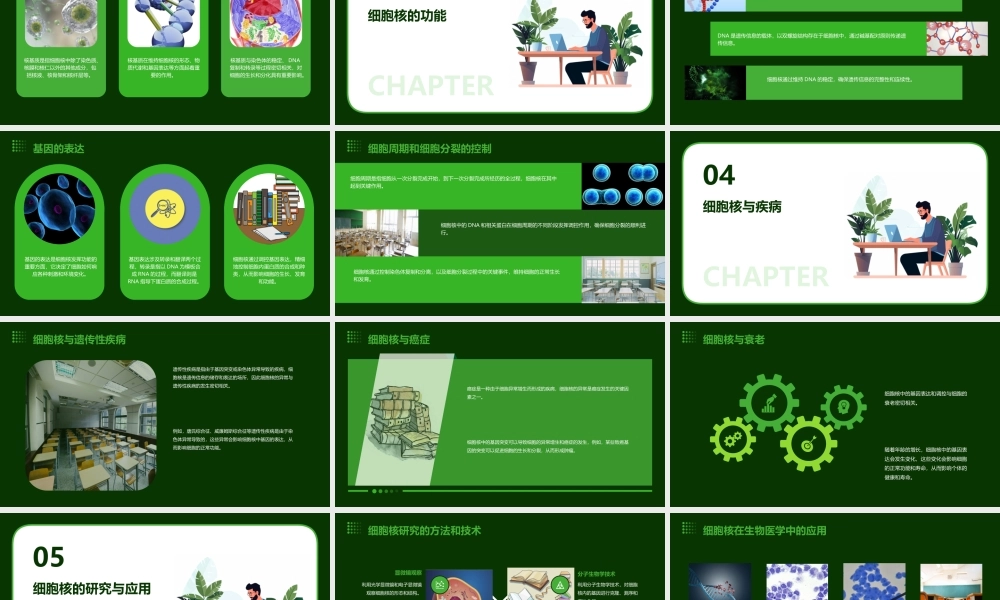 细胞的基本结构(细胞核)课件