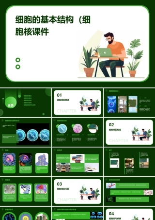 细胞的基本结构(细胞核)课件
