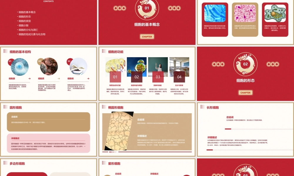 细胞的基本形态及类型课件