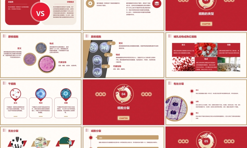 细胞的基本形态及类型课件
