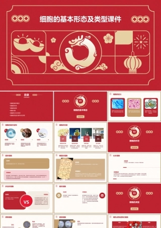 细胞的基本形态及类型课件