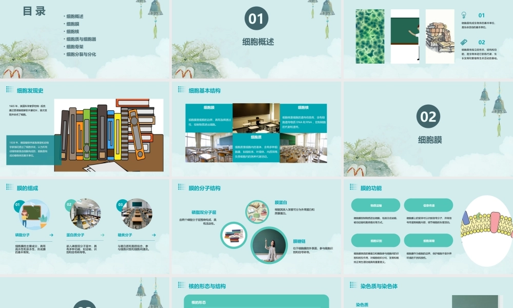 细胞形态结构课件
