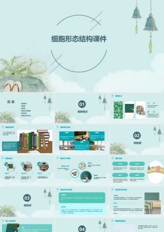 细胞形态结构课件