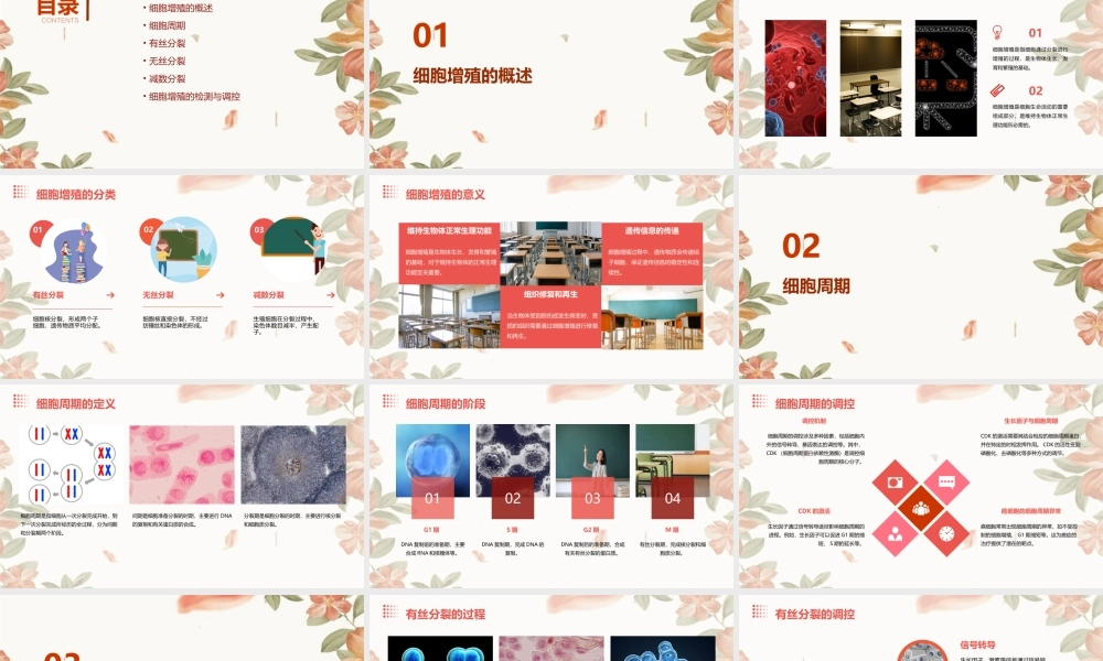 细胞生命历程细胞增殖课件