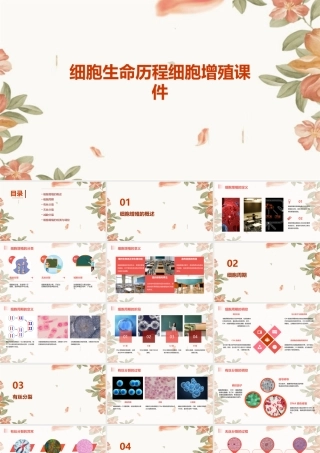 细胞生命历程细胞增殖课件