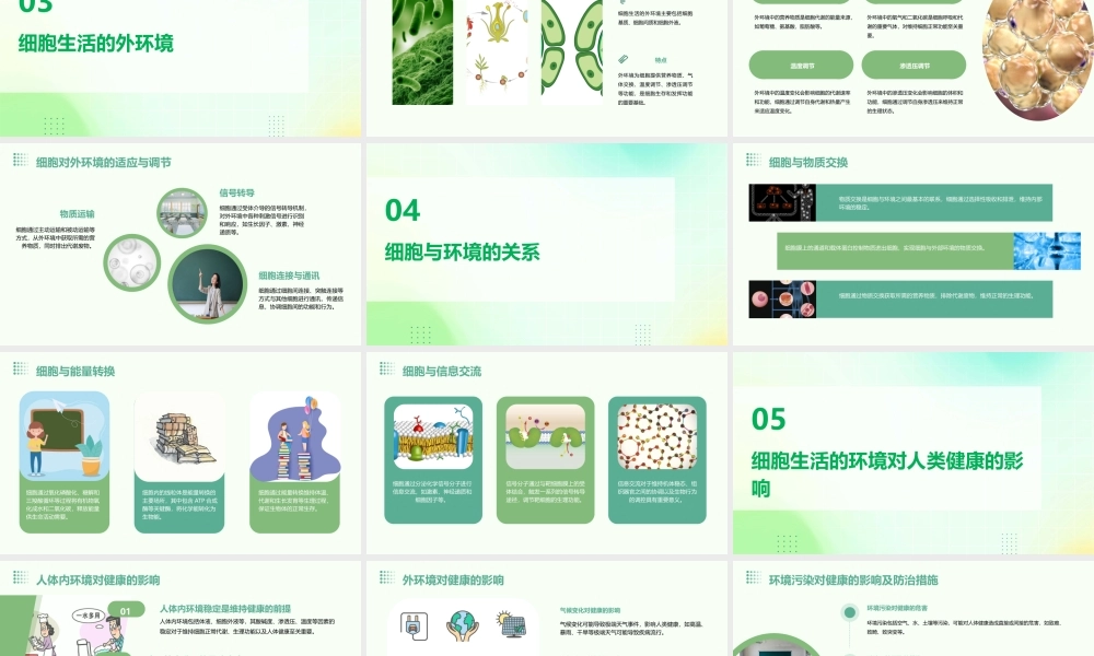 细胞生活的环境通用课件