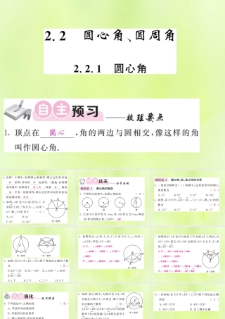 九年级数学下册 第2章 圆 22 圆心角、圆周角 221 圆心角习题课件 (新版)湘教版 课件