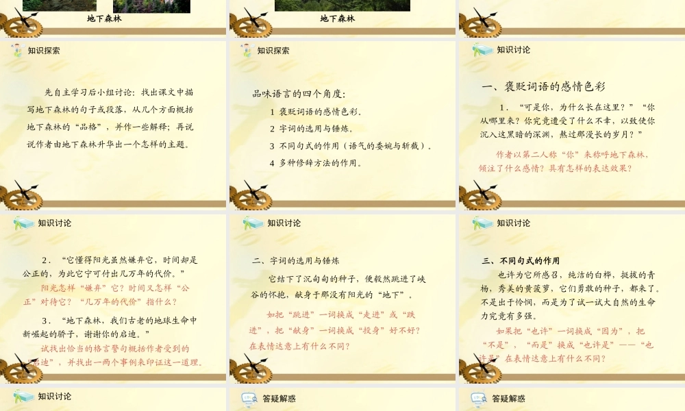 九年级语文下册 第11课地下森林断想1课件 人教新课标版 课件