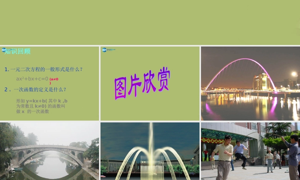 九年级数学下册 261 二次函数课件1 (新版)华东师大版 课件