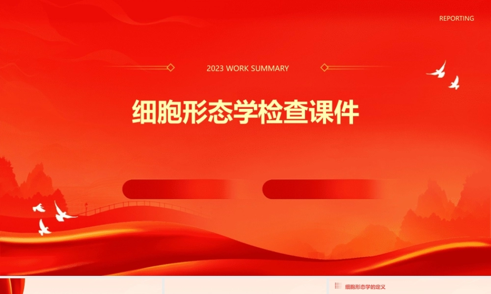 细胞形态学检查课件