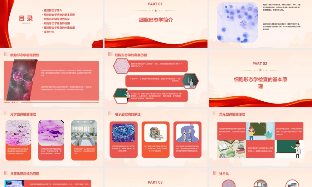 细胞形态学检查课件