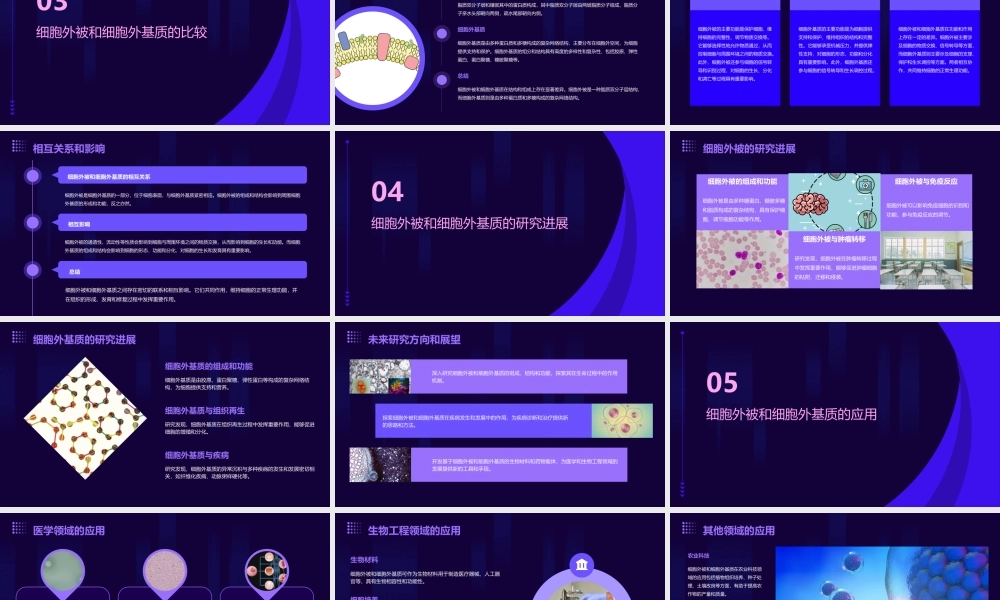 细胞外被和细胞外基课件