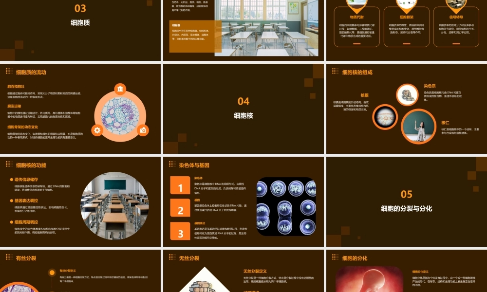 细胞基本知识概要课件