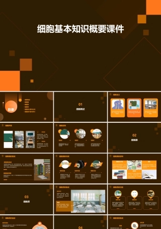 细胞基本知识概要课件