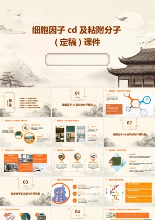 细胞因子CD及粘附分子(定稿)课件